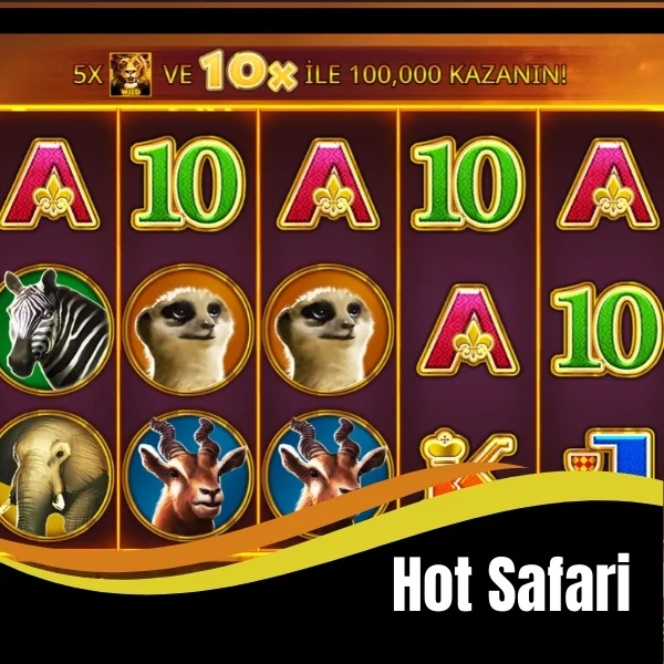 Hot Safari
